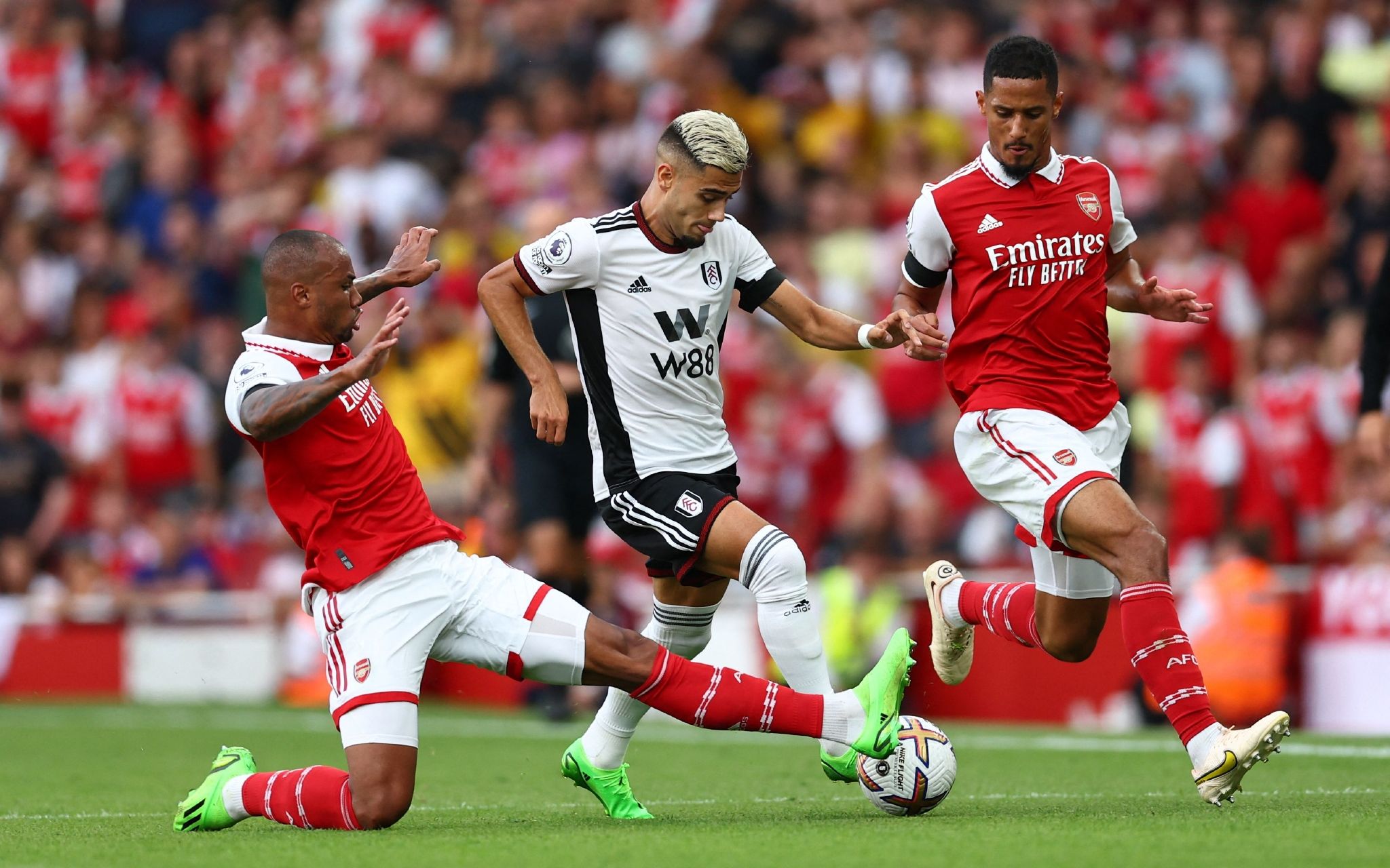 无疑正在书 无疑正在书